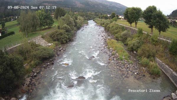 webcam Avisio Val di Fiemme